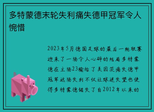 多特蒙德末轮失利痛失德甲冠军令人惋惜 多特蒙德末轮失利痛失德甲冠军令人惋惜